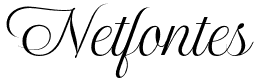 Gary Downley Script