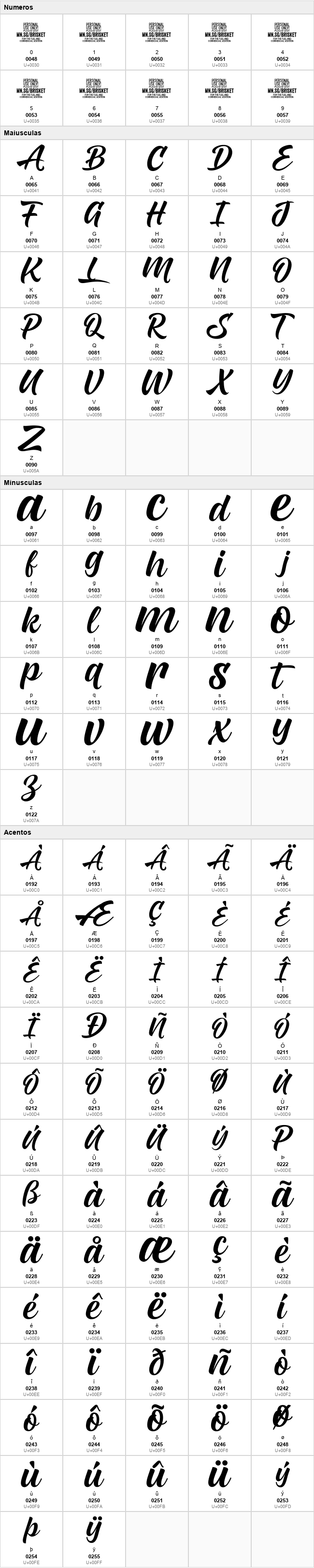 Brisket Script